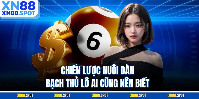Chiến lược nuôi dàn bạch thủ lô ai cũng nên biết