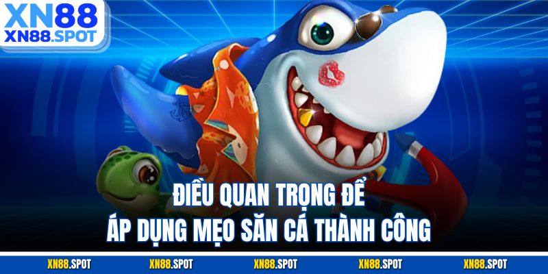 Điều quan trọng để áp dụng mẹo săn cá thành công
